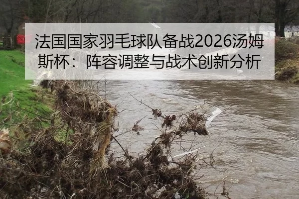 fa-guo-guo-jia-yu-mao-qiu-dui-bei-zhan-tang-mu-si-bei-zhen-rong-tiao-zheng-yu-zhan-shu-chuang-xin-fen-xi-2-637.jpg