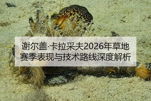 谢尔盖·卡拉采夫2026年草地赛季表现与技术路线深度解析
