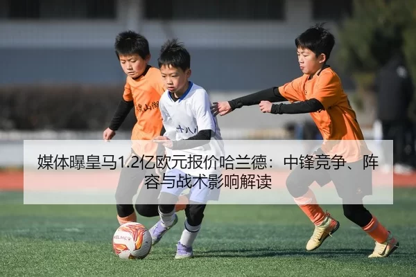 媒体曝皇马1.2亿欧元报价哈兰德：中锋竞争、阵容与战术影响解读