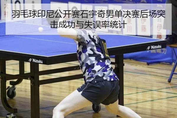 yu-mao-qiu-yin-ni-gong-kai-sai-shi-yu-qi-nan-dan-jue-sai-hou-chang-tu-ji-cheng-gong-yu-shi-wu-lv-tong-ji-2-368.jpg